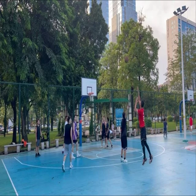 第62组足球杯赛焦点对决：阵容深度解析 专稿第12061期